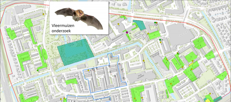 Plattegrond met daarop de gebieden in de Gildenwijk waar onderzoek wordt gedaan naar verblijfplaatsen van vleermuizen
