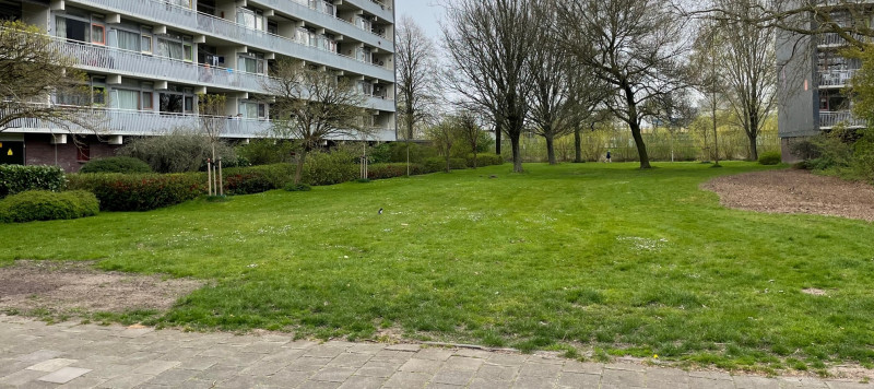 foto van de Weverstraat in Gorinchem