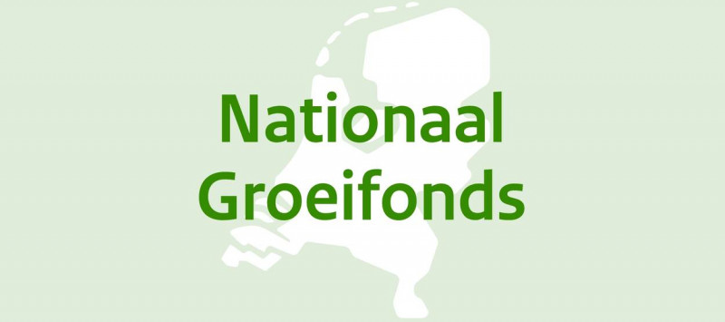 logo van het Nationaal Groeifonds