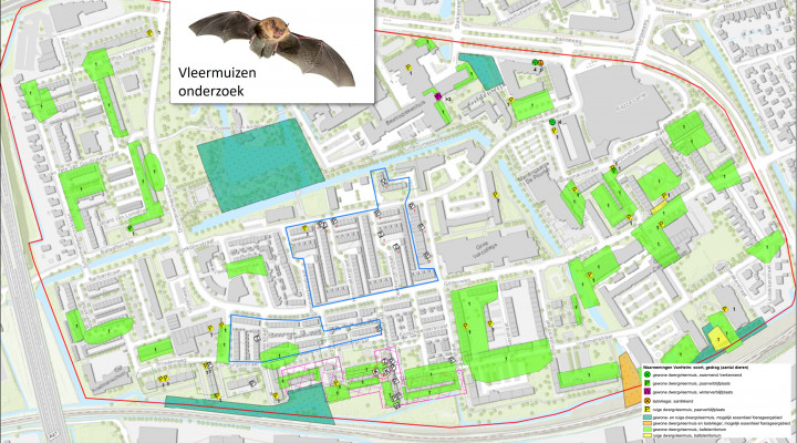 Plattegrond met daarop de gebieden in de Gildenwijk waar onderzoek wordt gedaan naar verblijfplaatsen van vleermuizen