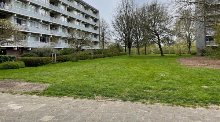 foto van de Weverstraat in Gorinchem