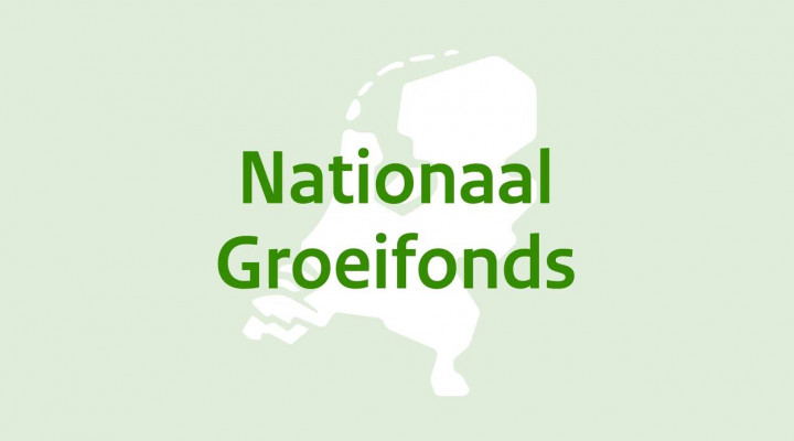 logo van het Nationaal Groeifonds